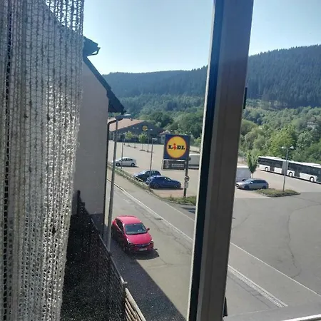 Rosen Garten Haus Titisee-Neustadt Exterior foto